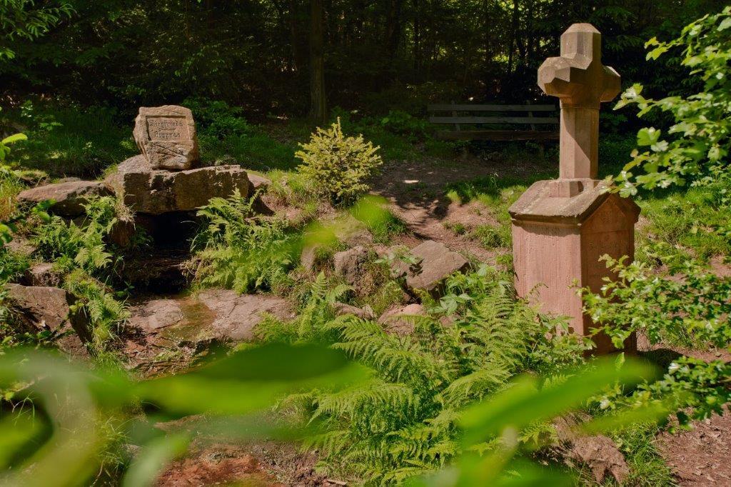 Hier steht der aus Sandstein errichtete Siegriedbrunnen mit viel Farn drumherum