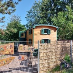 Der Naturkindergarten Holla-Bär hat einen großen Bauwagen auf einer schönen Freifläche mit wiese und Bäumen
