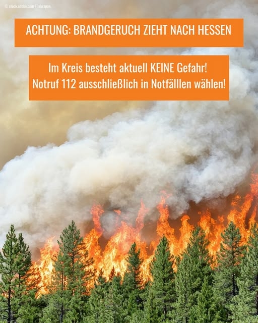 Bild mit brennendem Wald und Hinweis dass keine Gefahr ausgeht
