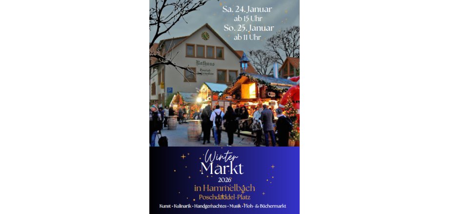 viele Personen stehen an winterlich geschmückten Ständen vor dem Rathaus