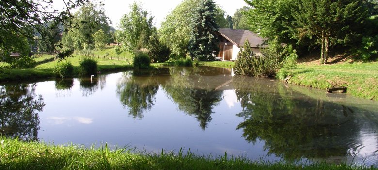 Grillhütte an der Weschnitzquelle in Hammelbach